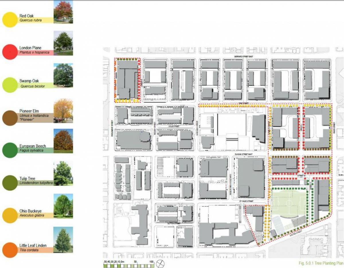 Mapa de Revitalització pla Regent Parc de Toronto fase 3