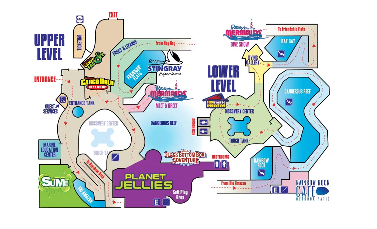 Mapa de Ripley l'aquari