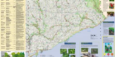 Mapa de parcs i senders per caminar Est de Toronto