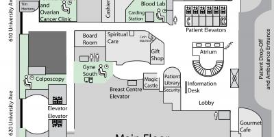 Mapa de la Princess Margaret Càncer de Centre de Toronto planta principal