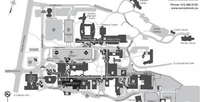 Mapa de Sunnybrook ciències de la Salut centre - SHSC